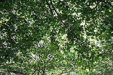 TGA：《地狱之刃2：塞娜的传奇》预告