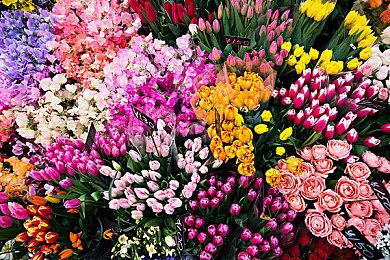 《一方灵田》更新计划公布 战斗优化、增加任务等